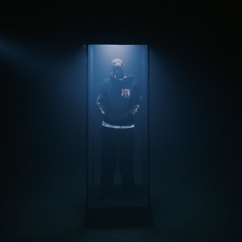 Full-length shot of the black Eminem Recovery 15th Anniversary hoodie in a doorway